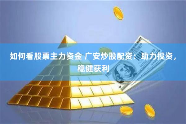 如何看股票主力资金 广安炒股配资：助力投资，稳健获利